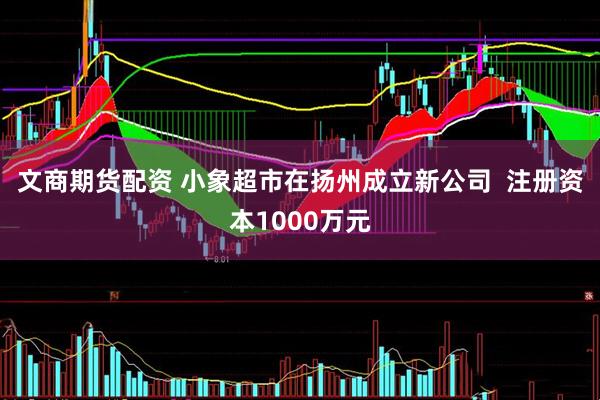 文商期货配资 小象超市在扬州成立新公司  注册资本1000万元