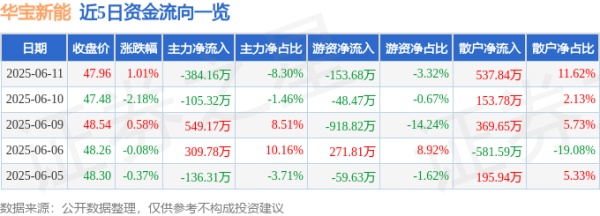 互盈在线 股票行情快报：华宝新能（301327）6月11日主力资金净卖出384.16万元